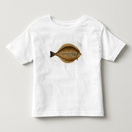 Dab (Pleuronectes Limanda) bord XLVI uit 'Ichthy' Kinder Shirts (Voorkant)