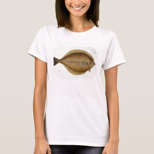 Dab (Pleuronectes Limanda) bord XLVI uit Ichthy T-shirt (Voorkant)