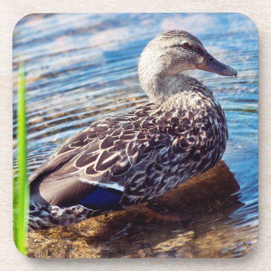 Dabbling Ripples Bier Onderzetter (Voorkant)