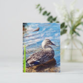 Dabbling Ripples Briefkaart (Staand voorkant)