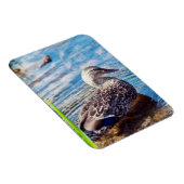 Dabbling Ripples Magneet (Rechterzijde)