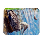 Dabbling Ripples Magneet (Horizontaal)