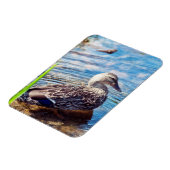 Dabbling Ripples Magneet (Linkerzijde)