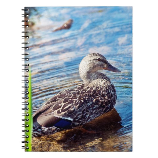 Dabbling Ripples Notitieboek (Voorkant)