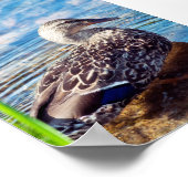 Dabbling Ripples Poster (Hoek)