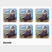 Dabbling Ripples Vierkante Sticker (Vel)