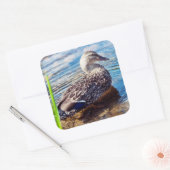 Dabbling Ripples Vierkante Sticker (Envelop)