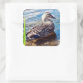 Dabbling Ripples Vierkante Sticker (Tas)