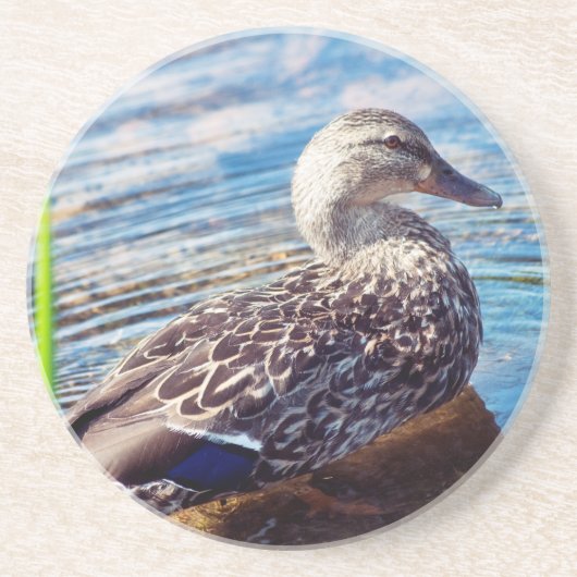 Dabbling Ripples Zandsteen Onderzetter (Voorkant)
