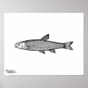Dace Poster