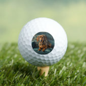 Dachshond Golfballen (Insitu Shirt)