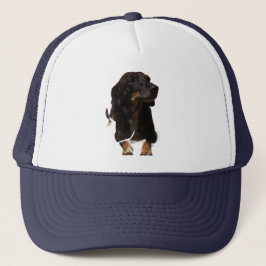 Dachshond Hond Trucker Pet