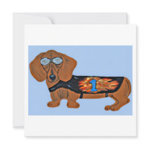Dachshond in racejas kaart