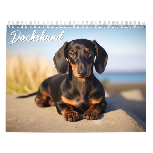 Dachshond Kalender (Hoes)
