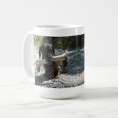Dachshond Koffiemok (Voorkant links)