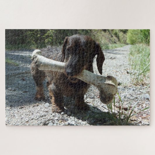 Dachshond Legpuzzel (Horizontaal)