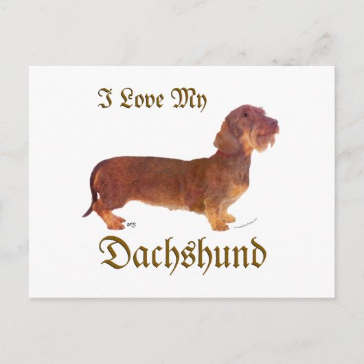 Dachshond Liefde Briefkaart (Voorkant)