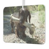 Dachshond Luchtverfrisser (Links)