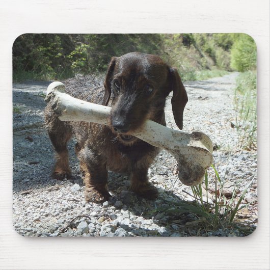 Dachshond Muismat (Voorkant)