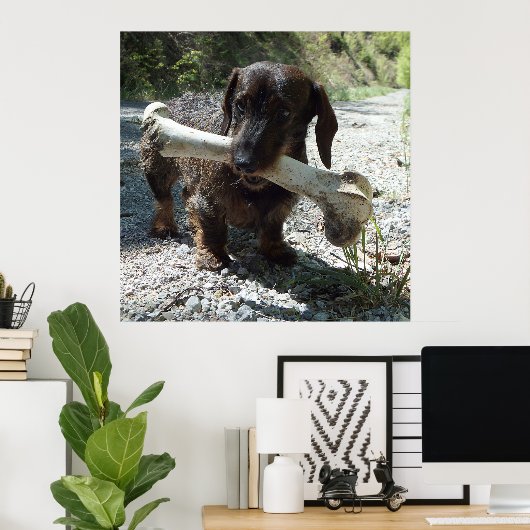 Dachshond Poster (Thuiskantoor)
