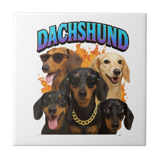 Dachshond Tegeltje (Voorkant)