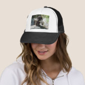 Dachshond Trucker Pet (In situ)