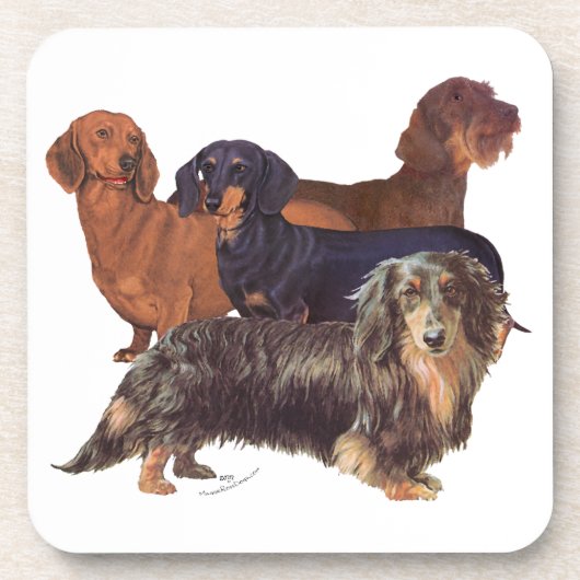 Dachshond Variëteiten Bier Onderzetter (Voorkant)