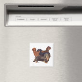 Dachshond Variëteiten Magneet (Insitu (Vaatwasser))