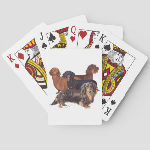 Dachshond Variëteiten Speelkaarten
