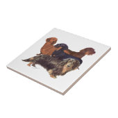 Dachshond Variëteiten Tegeltje (Zijkant)