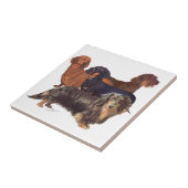 Dachshond Variëteiten Tegeltje (Zijkant)