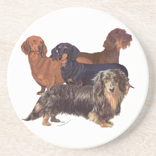 Dachshond Variëteiten Zandsteen Onderzetter (Voorkant)