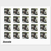 Dachshond Vierkante Sticker (Vel)