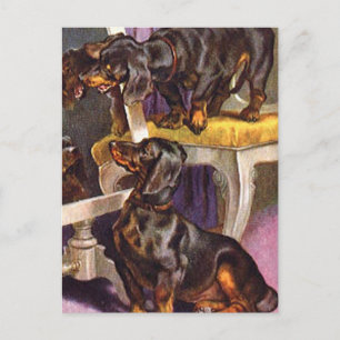 Dachshonden die in de spiegel kijken Vintage Art-c Briefkaart