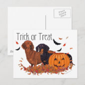 Dachshonden Halloween Briefkaart (Voorkant / Achterkant)