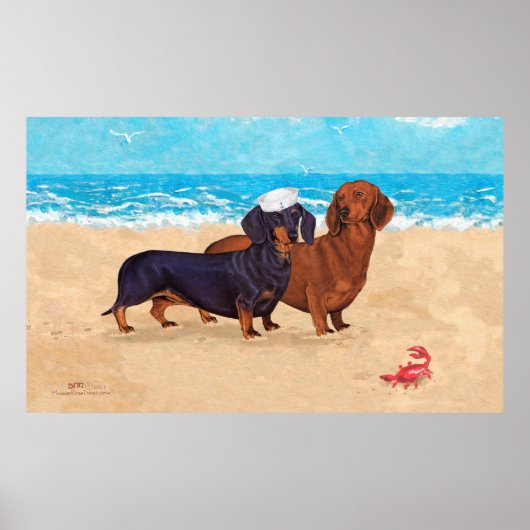 Dachshonden op het strand poster (Voorkant)