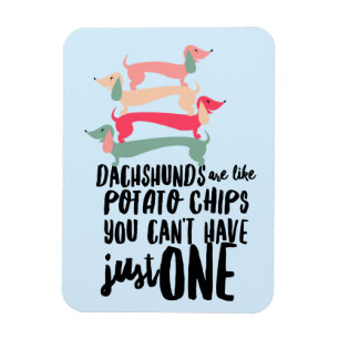 Dachshonden zijn als Aardappel Chips 3"x4"Foto Mag Magneet
