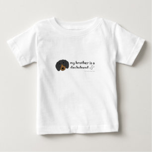 dachshund