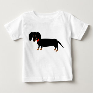 Dachshund