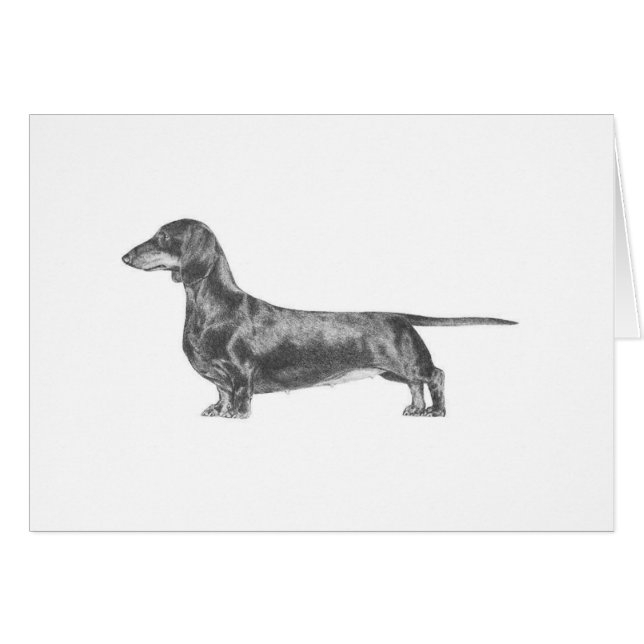 Dachshund (Voorkant Horizontaal)