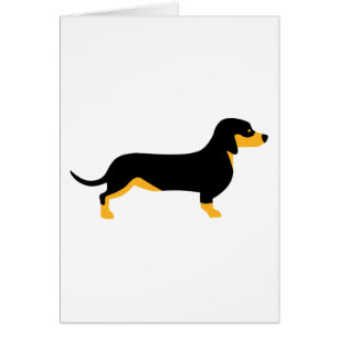 Dachshund