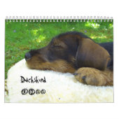 Dachshund 2011 - aanpasbare kalender! kalender (Hoes)