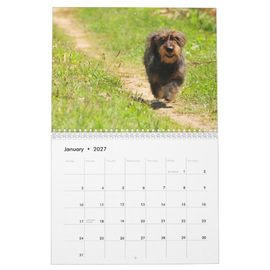 Dachshund 2011 - aanpasbare kalender! kalender (Jan 2027)