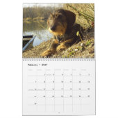 Dachshund 2011 - aanpasbare kalender! kalender (Feb 2027)