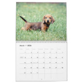 Dachshund 2013 kalender (Mar 2026)
