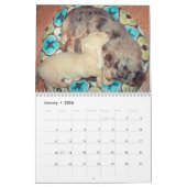Dachshund 2013 kalender (Jan 2026)