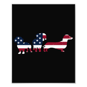Dachshund 4th of July Patriottische Wiener Honden Foto Afdruk