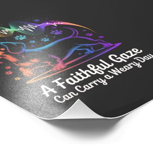 Dachshund A Faithful Gaze Can Carry A Weary Day Foto Afdruk (Hoek)