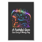 Dachshund A Faithful Gaze Can Carry A Weary Day Foto Afdruk (Voorkant)