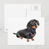 Dachshund (A) - Zwart en Lichtbruin Briefkaart (Voorkant / Achterkant)